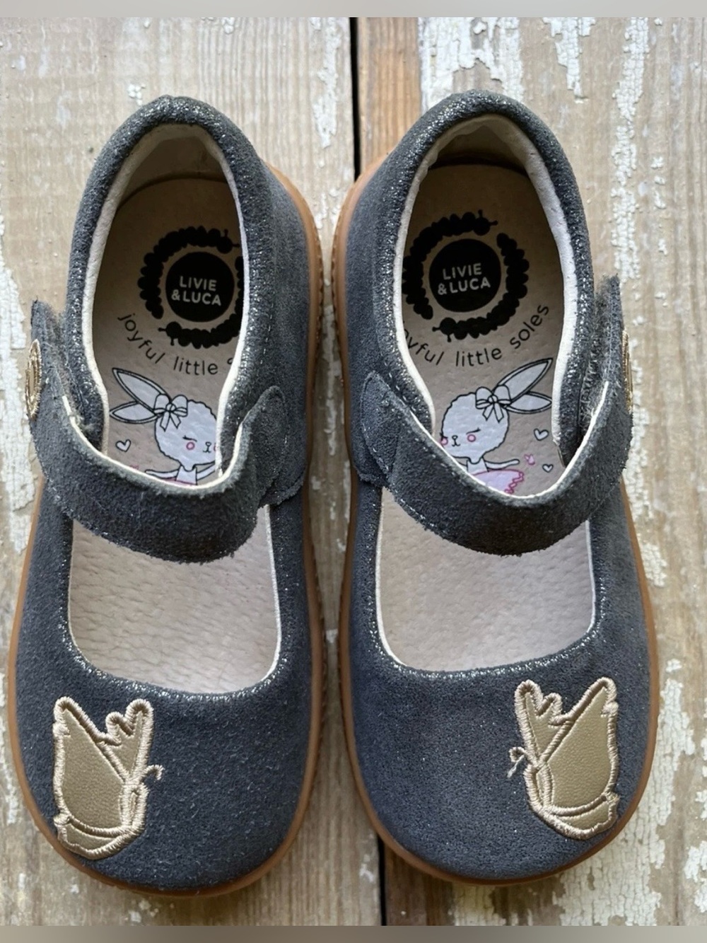 Livie & Luca Blue Gray Suede Mary Jane Shoes with Butterfly Accent New
